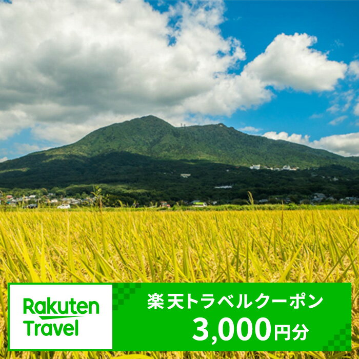 【ふるさと納税】茨城県つくば市の対象施設で使える楽天トラベルクーポン　寄付額10,000円
