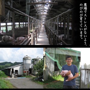 鹿児島県曽於市産曽於ポーク6種類詰め合わせ 合計2.1kg 国産 豚肉 詰め合わせ【Rana】A-414