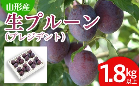 山形の生プルーン(プレジデント)1.8kg以上(450g×4パック) 【令和8年産先行予約】FS24-654くだもの 果物 フルーツ 山形 山形県 山形市 2026年産
