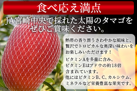 数量限定【2026年発送】＜宮崎県産 太陽のタマゴ A等級 2Lサイズ×3玉（合計約1kg）＞2026年4月上旬～6月末迄に順次出荷【 果物 くだもの フルーツ 太陽のタマゴ 太陽のたまご 完熟マンゴ