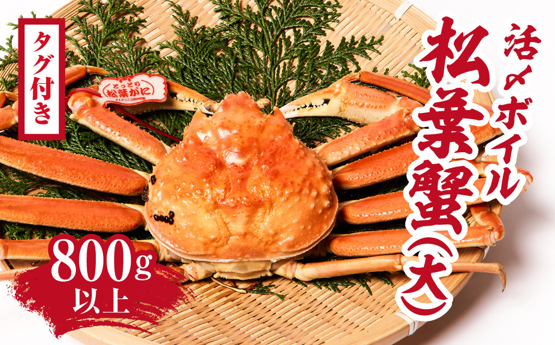 
            【早期先行予約】【タグ付き】活〆ボイル松葉蟹(大) 800g以上 【北海道・沖縄・離島配送不可】 松葉ガニ 松葉がに カニ かに 境港 マルツ 鳥取県日野町 60000010
          