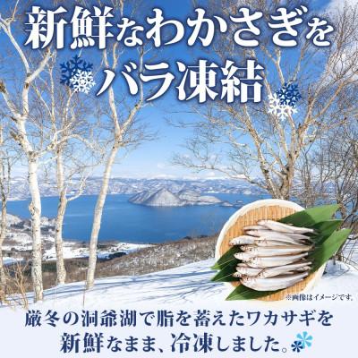 ふるさと納税 洞爺湖町 北海道 洞爺湖産 黄金のわかさぎ 18尾×4P 計72尾 |  | 01