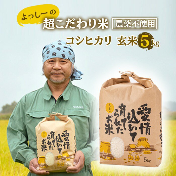 【ふるさと納税】 【先行予約】令和7年産 よっしーの超こだわり米(農薬不使用) コシヒカリ （玄米）5kg こしひかり 米 お米 おこめ 山形県 新庄市 F3S-2497