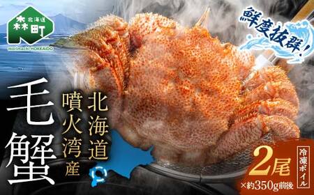 【12月発送】【訳あり】北海道・噴火湾産冷凍ボイル毛ガニ約350g前後×2尾 ＜海鮮問屋　株式会社　瑞宝＞ かに カニ 蟹 ガニ がに 森町 ふるさと納税 北海道 毛蟹 毛かに 毛ガニ 毛カニ mr1-1168