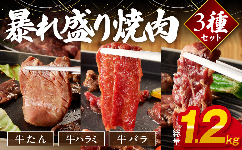 099H2875 暴れ盛り 焼肉 3種セット 総量 1.2kg （牛タン／牛ハラミ／バラ）