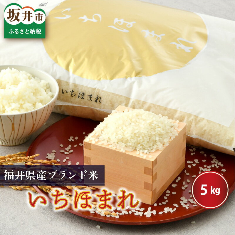 【ふるさと納税】【令和6年産】 米 5kg さんさん池見二代目がお届けする 福井県産 いちほまれ