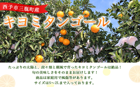 先行予約 ＜とびっきりの愛媛 キヨミタンゴール 約4kg（家庭用大小混合）＞ 訳あり 家庭用 果物 柑橘 フルーツ みかん 蜜柑 オレンジ 清見タンゴール 特産品 片山果樹園 食べて応援 西宇和 愛媛