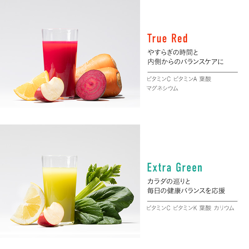 フルーツ専門店がつくる Viccaプレミアムフルーツ ダブルプレスジュース ディープブースト 280ml×6本 定期便2か月コース 果実本来の味わいを楽しむ 贅沢ジュース 冷蔵