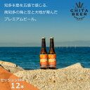 【ふるさと納税】知多マリンビール (セッションIPA) 12本 クラフトビール インディアン・ペール・エール【配送不可地域：離島】【1431294】