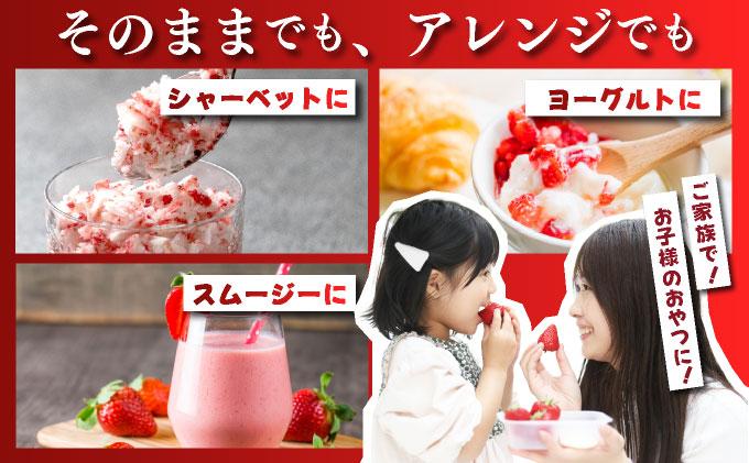 福岡県産 博多冷凍あまおう 約500g×2袋 合計約1kg 約1kg