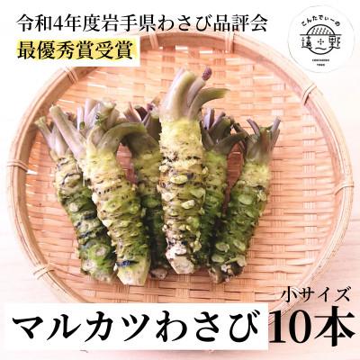 ふるさと納税 遠野市 マルカツわさび 小サイズ 10本 真空 岩手県遠野市産【こんたでぃーの遠野】