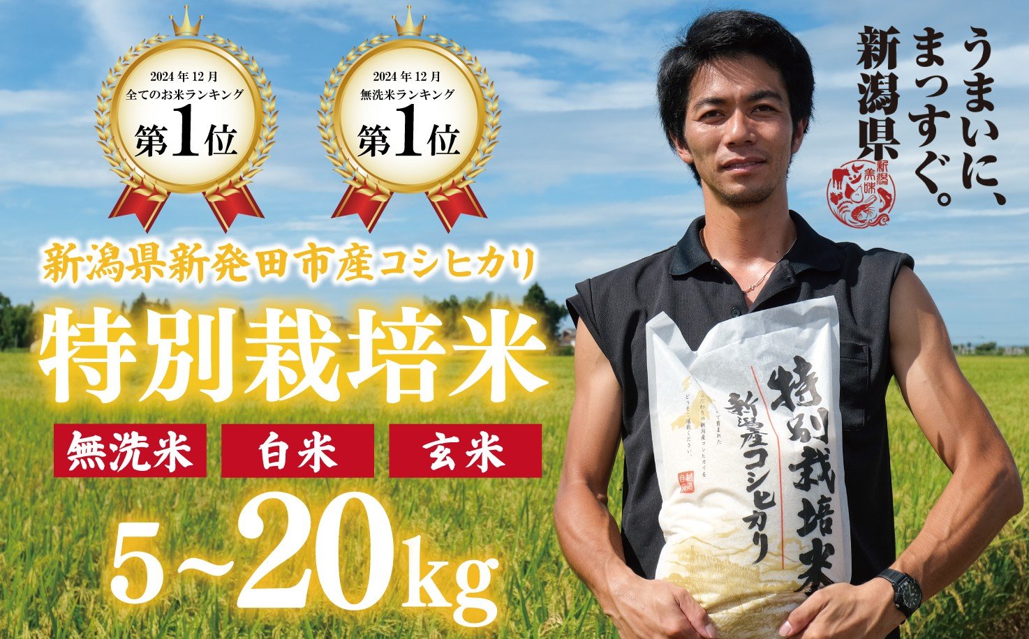 
            【新米】新潟 令和7年産 コシヒカリ 無洗米 白米 玄米 5kg 10kg 20kg こしひかり 米 お米 こめ 贈答 お歳暮 ギフト 新潟 新発田 斗伸 toushin001_02P
          
