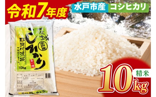 【10月中旬より順次発送】【数量限定】【令和7年産新米】水戸産コシヒカリ10㎏ 精米【お米 ごはん コシヒカリ おにぎり ごはん 茨城県 水戸市】(NP-4)