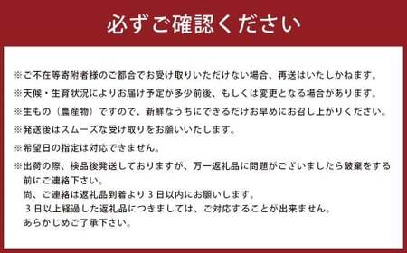 山本農園の珍果 弓削瓢柑 （ゆげひょうかん） 4.5kg 【2027年3月下旬～4月下旬発送予定】 ひょう柑 みかん 蜜柑 ミカン おれんじ オレンジ フルーツ 果物 くだもの ジューシー 柑橘 国産