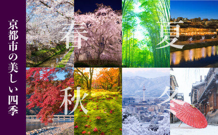 【土井志ば漬本舗】大原の里京漬物9種10点詰め合わせ W-25｜京都 漬物 有名店 人気セット