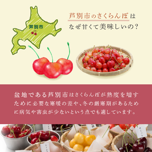 【先行受付】スタックゴールド黄 2kg（500g×4パック）サクランボ 黄 大橋 芦別 希少 大容量