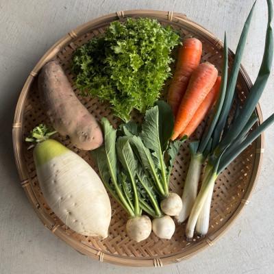 ふるさと納税 江南市 【Hello!農園直送】旬のおまかせ野菜セット(5〜7品)　栽培期間中農薬・化学肥料不使用 |  | 02