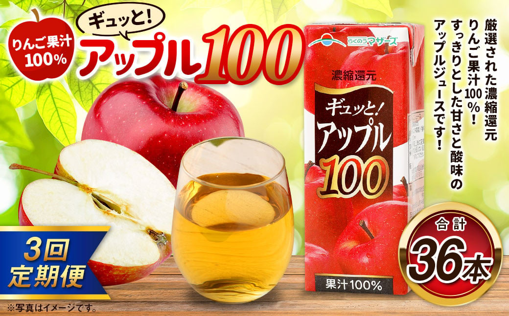 【3か月連続定期便】アップル100 200ml×12本×3回 合計36本 合計7.2L