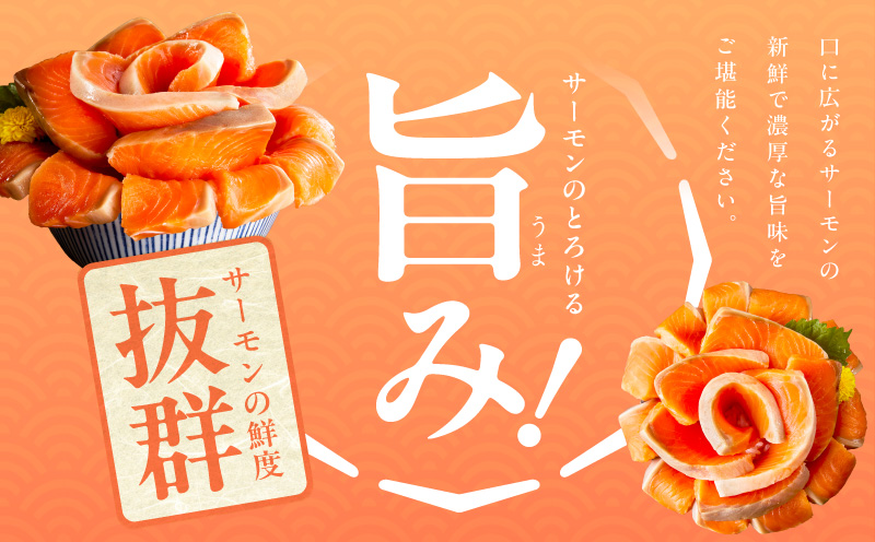 サーモン 定期便 1kg×全2回【ポーション 訳あり サイズ不揃い 刺身 海鮮丼 さーもん サラダ カルパッチョ 鮭 さけ シャケ しゃけ 人気 小分け 冷凍 家計応援】