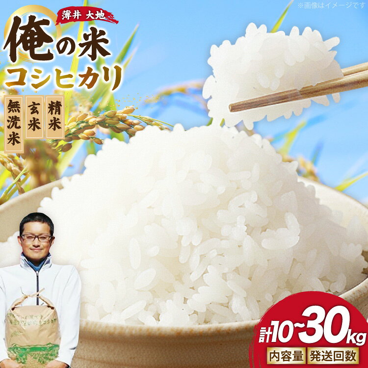 【ふるさと納税】【俺の米】 米 定期便 令和8年 コシヒカリ 精米 無洗米 玄米 10kg 〜 30kg [薄井 大地 長野県 池田町 48110952] お米 おこめ こめ こしひかり 定期 2回〜6回 コメ 新米 10キロ 20キロ 30キロ 以上 ふるさと ふるさと納税 令和8年産 先行予約