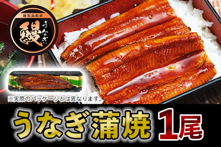 027-64 黒豚・黒毛和牛・うなぎ 鹿児島!味の極み便B