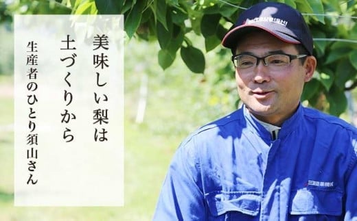 無化学肥料で土づくりからこだわり、データで管理する梨栽培。