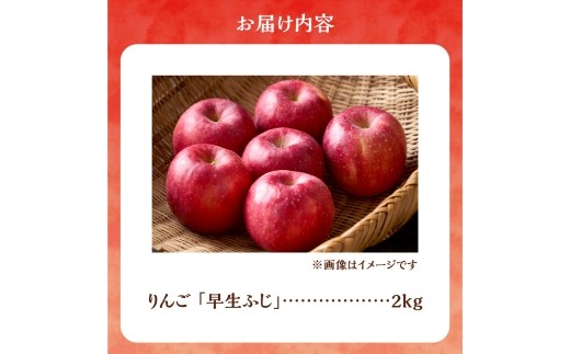 【先行予約：2026年10月中旬より発送】りんご（早生ふじ）2kg【北海道余市町産】