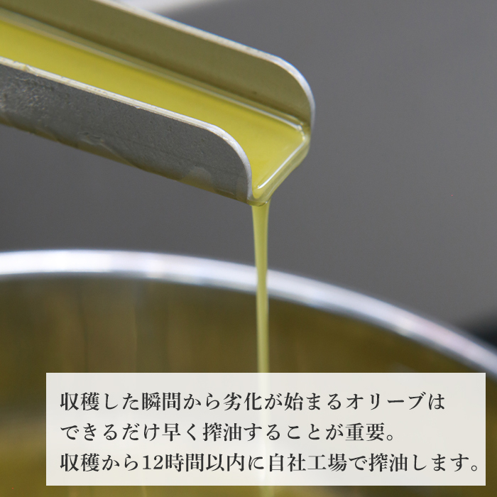 3本セット！「Virgin Valley 淡路阿利布」91ｇ（エキストラバージンオリーブオイル）【2023年度産】_イメージ4