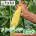 【ふるさと納税】【先行予約　2025年5月末以降発送】安西農園の驚くほどに甘いトウモロコシ 20本【配送不可地域：離島・北海道・沖縄県・東北・中国・四国・九州】【1486584】