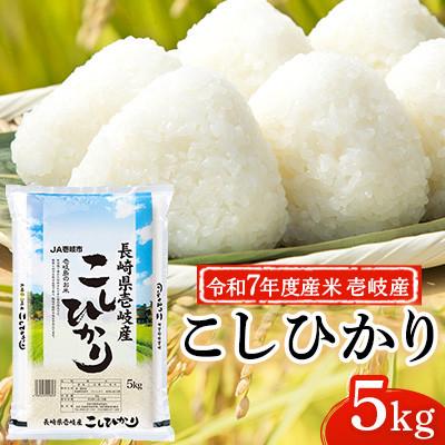 ふるさと納税 壱岐市 【令和7年度産米】壱岐産 こしひかり 5kg