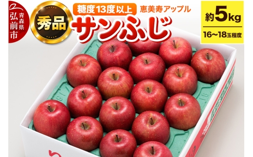 【25年12月～発送】りんご 【糖度13度以上】サンふじ 約5kg 【秀品】 青森県 フルーツ 果物