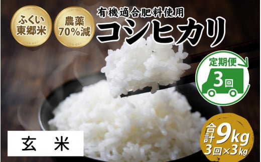 【定期便3ヶ月連続】令和6年産 ふくい東郷米特別栽培米　農薬70％減コシヒカリ 3kg×3ヶ月 合計9kg【玄米】[B-020020_02]