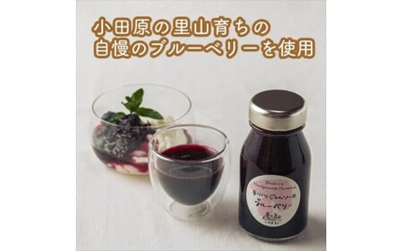 スイスで加工品を学んだ農家が作った手づくりジャムソース 16本セット 手作りみかん キウイ あまなつ ブルーベリー他 125ml 詰め合わせ ギフト【 家庭用 自宅用 贈答品 贈答用 ギフト お取り寄