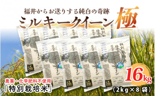 【令和6年産・新米】お米の女王！農薬・化学肥料不使用 特別栽培米 ミルキークイーン極16kg (2kg × 8袋)（白米） [F-2915_01]