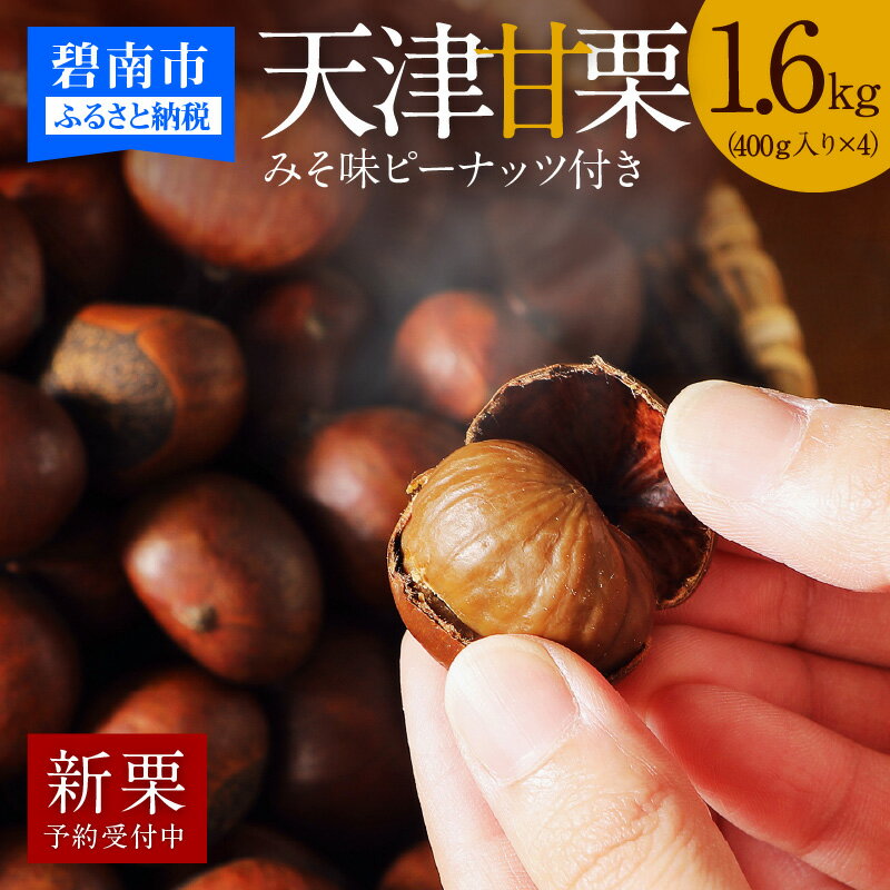 【ふるさと納税】【新栗】 予約 受付中 この道50年の職人が焼く やさしい 甘み 「天津甘栗」1.6kg 天津甘栗 甘栗 栗 スイーツ 和菓子 お菓子 秋 和スイーツ 栗レシピ マロン 菓子 焼きたて 人気