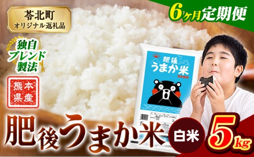 【6か月定期便】米 白米 熊本県産 肥後うまか米 5kg 精米 こめ  コメ お米 おこめ ブレンド米《申込月の翌月から出荷開始》熊本県産  コメ お米 おこめ