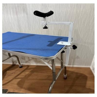 ふるさと納税 小牧市 グルーミングアシスト(犬用)[199D01] |  | 01