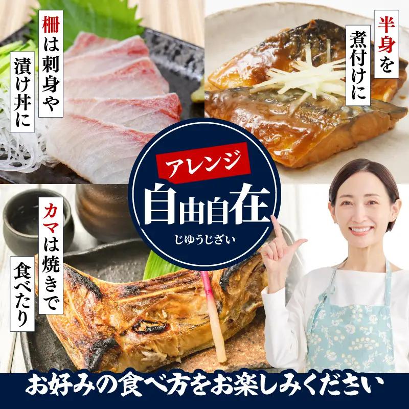 【海鮮】鮮魚セット 1.2㎏ 海鮮 刺身