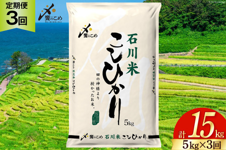 米 定期便 石川米こしひかり【穂立】5kg×3回 総計15kg [中橋商事 石川県 宝達志水町 38601207]