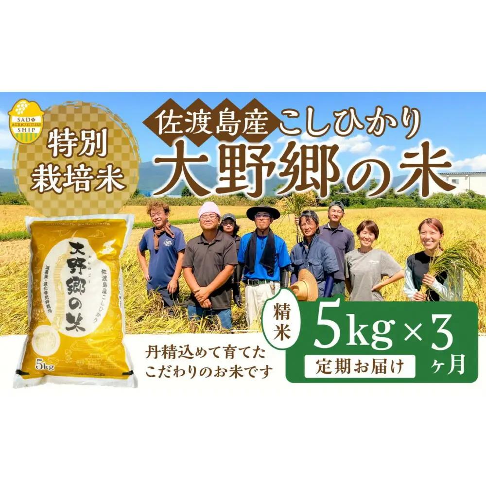 【定期便 3回 】コシヒカリ 精米 5kg 計15キロ | 新潟県 佐渡市 コシヒカリ