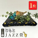 【ふるさと納税】ミニ畳(大) 「じもと」JAZZ畳 1枚◇【 畳 い草 マット 飾り台 小物置き 日本製 栃木県 宇都宮市 】