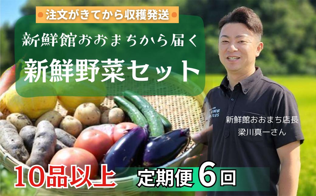 
            【定期便6回】注文が来てから収穫発送！収穫したばかりの新鮮野菜セット 《10品以上保証》 季節のお野菜 おまかせ お楽しみ 獲れたて産地直送 旬 春野菜 ベジタブル ヘルシー 健康 詰め合わせ 一関市
          