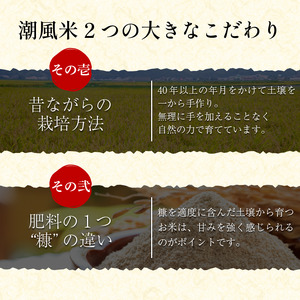 こしひかり 5kg 白米 令和7年産 潮風米 こしひかり 徳島 小松島