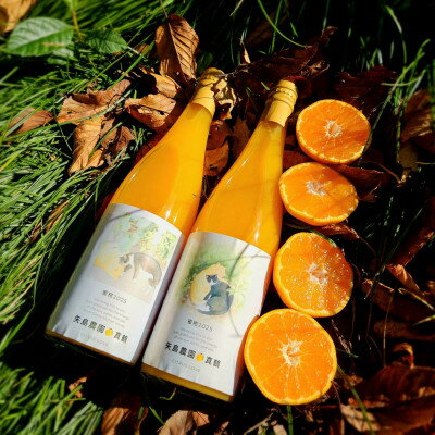 【ふるさと納税】初搾り★手剥きRich蜜柑ジュース 720ml×2本～真鶴町から未来へつなぐ、三代目の挑戦～【1695140】