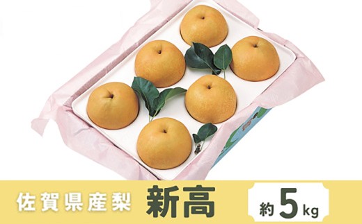 【2026年発送分 先行予約】佐賀県産 梨（新高）5㎏ / 佐賀県 /佐賀県農業協同組合　さが風土館季楽直販本店  [41AABE116]