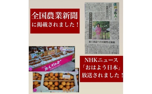 あんず本来の味を活かした手づくりジャム