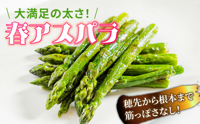 【2026年3月〜発送】【数量限定】甘い！柔らかい！【星のアスパラ】厳選 グリーン アスパラガス 約1kg / アスパラ あすぱら あすぱらがす 採れたて 新鮮 旬 産地直送 野菜 3L・2L・L・M