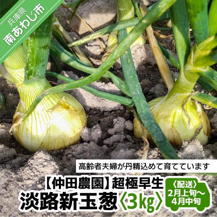 【ふるさと納税】【新玉予約！】超極早生新玉葱「福寿玉ねぎ」3kg◆配送2月上旬〜4月中旬