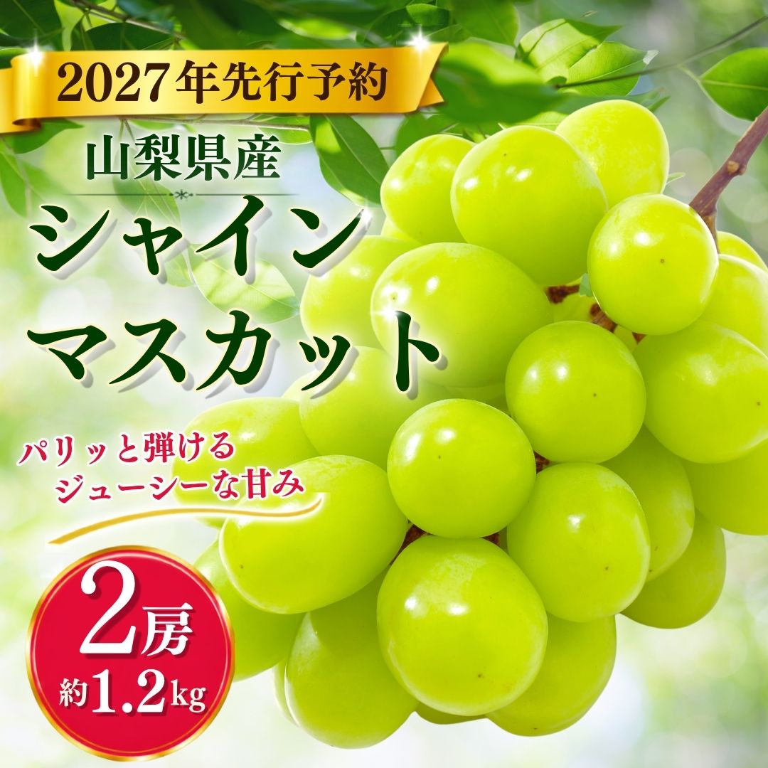 大好評!!【2027年 先行予約】 山梨県産 シャインマスカット ２房 (1.2kg以上)