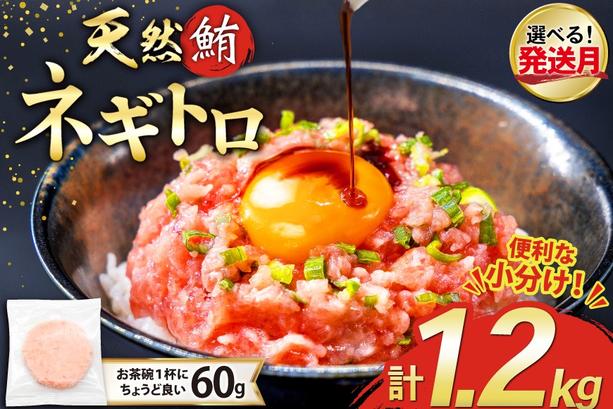 
                  選べる発送月 天然 マグロ ネギトロ まぐろたたき 冷凍 60g 20パック 計1.2kg 小分け 個包装 FY03 [トライ産業 静岡県 吉田町 22424403] まぐろ 鮪 ねぎとろ まぐろのたたき マグロたたき ネギとろ ねぎトロ
                